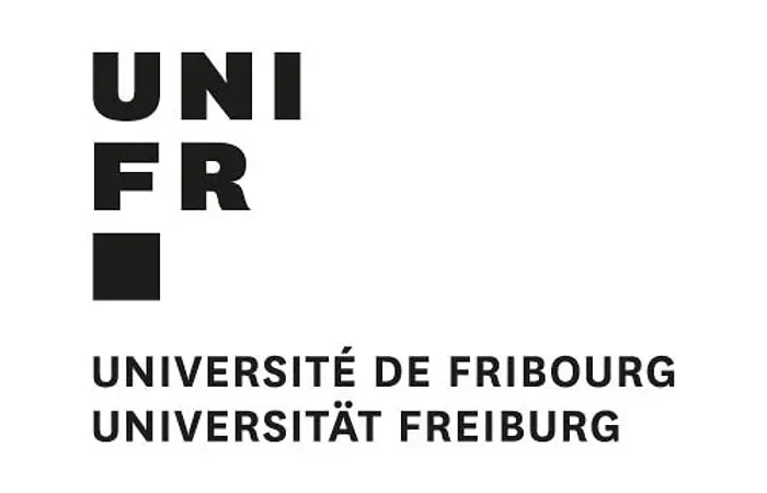 Prof. Arnd Beise