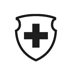 Schweizer Armee