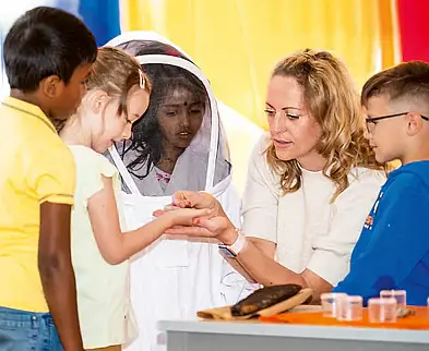 kindergarten-unterstufe.webp